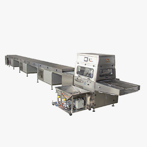 Swm-tyj Chocolateenrobing Machine